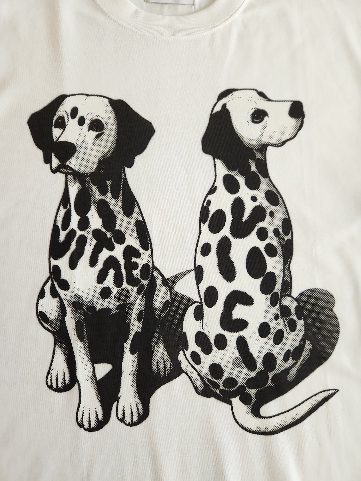 Hidden in Plain Sight tee