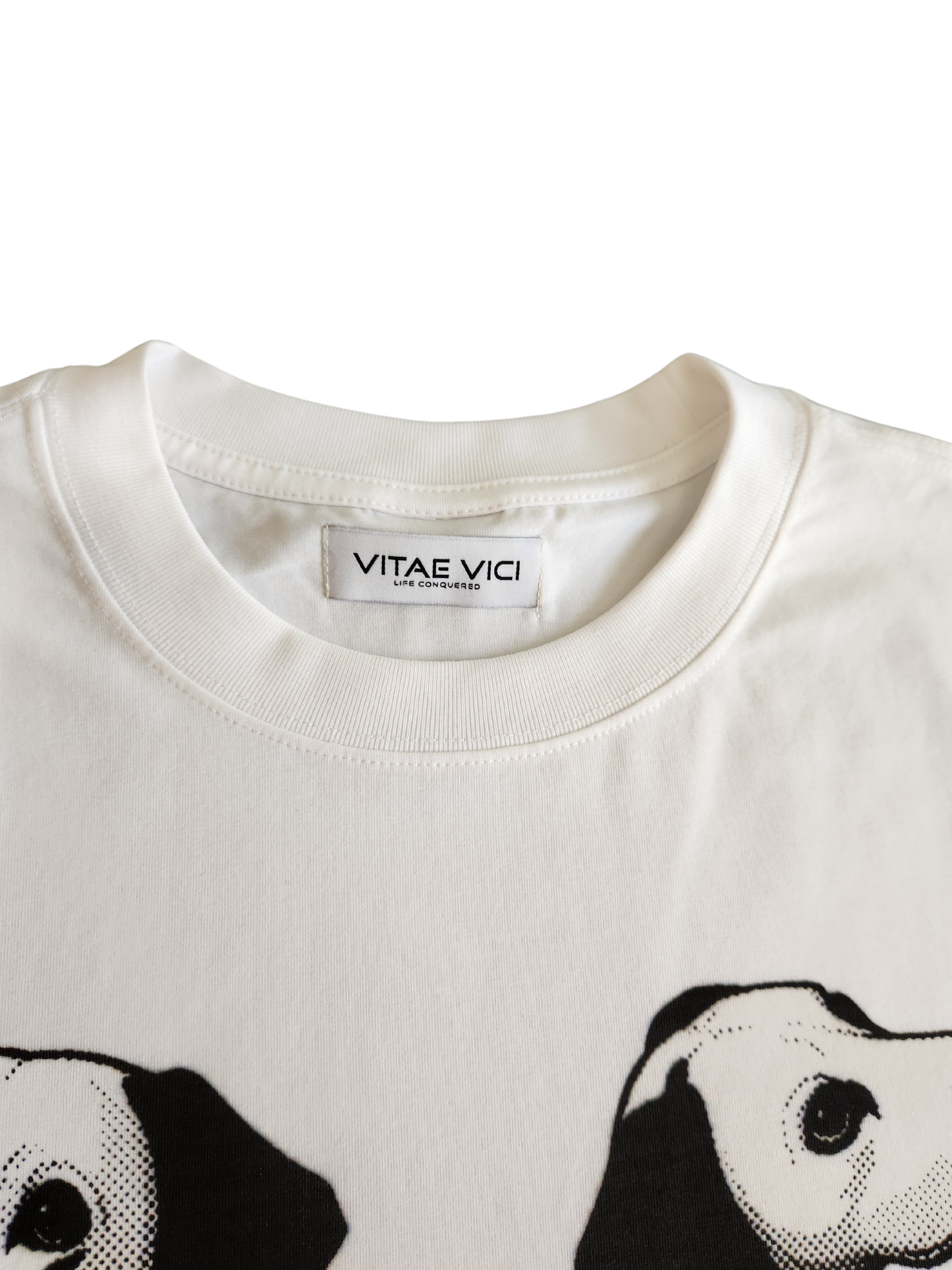 Hidden in Plain Sight tee