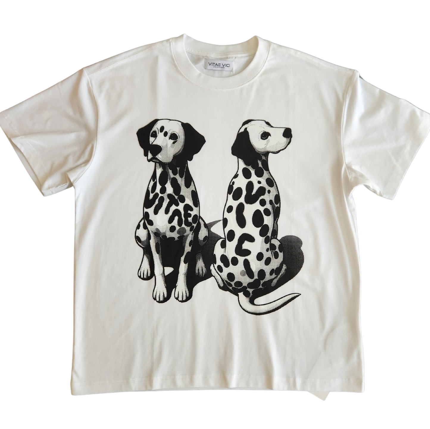 Hidden in Plain Sight tee