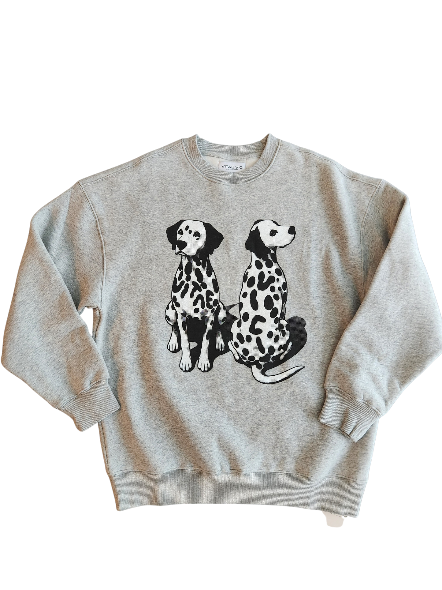 Hidden in plain sight sweatshirt