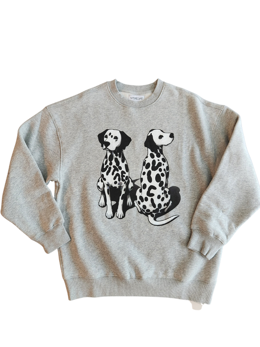 Hidden in plain sight sweatshirt