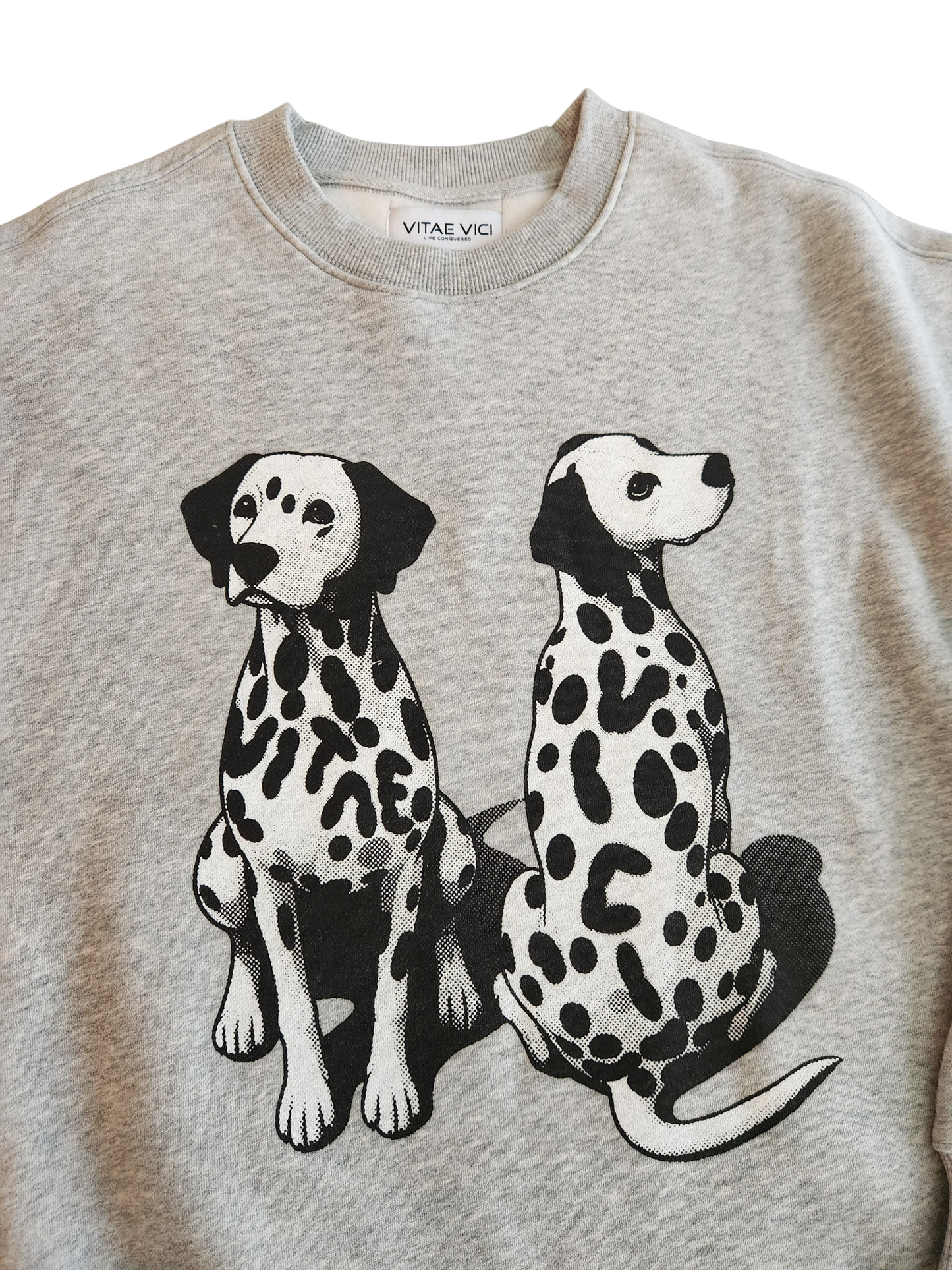 Hidden in plain sight sweatshirt